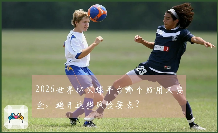 2026世界杯买球平台哪个好用又安全，避开这些风险要点？